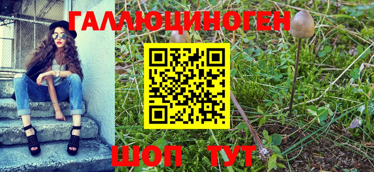 Галлюциногенные грибы MAGIC MUSHROOMS Ейск