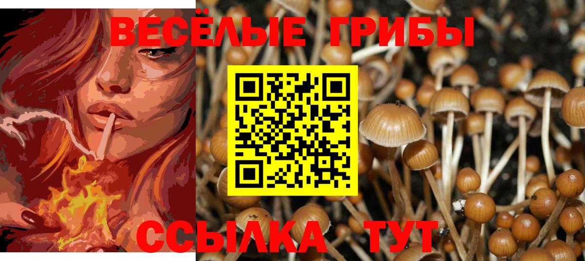 Ейск  Галлюциногенные грибы Cubensis  Вход с VPN 
